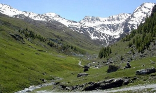 Trekking 